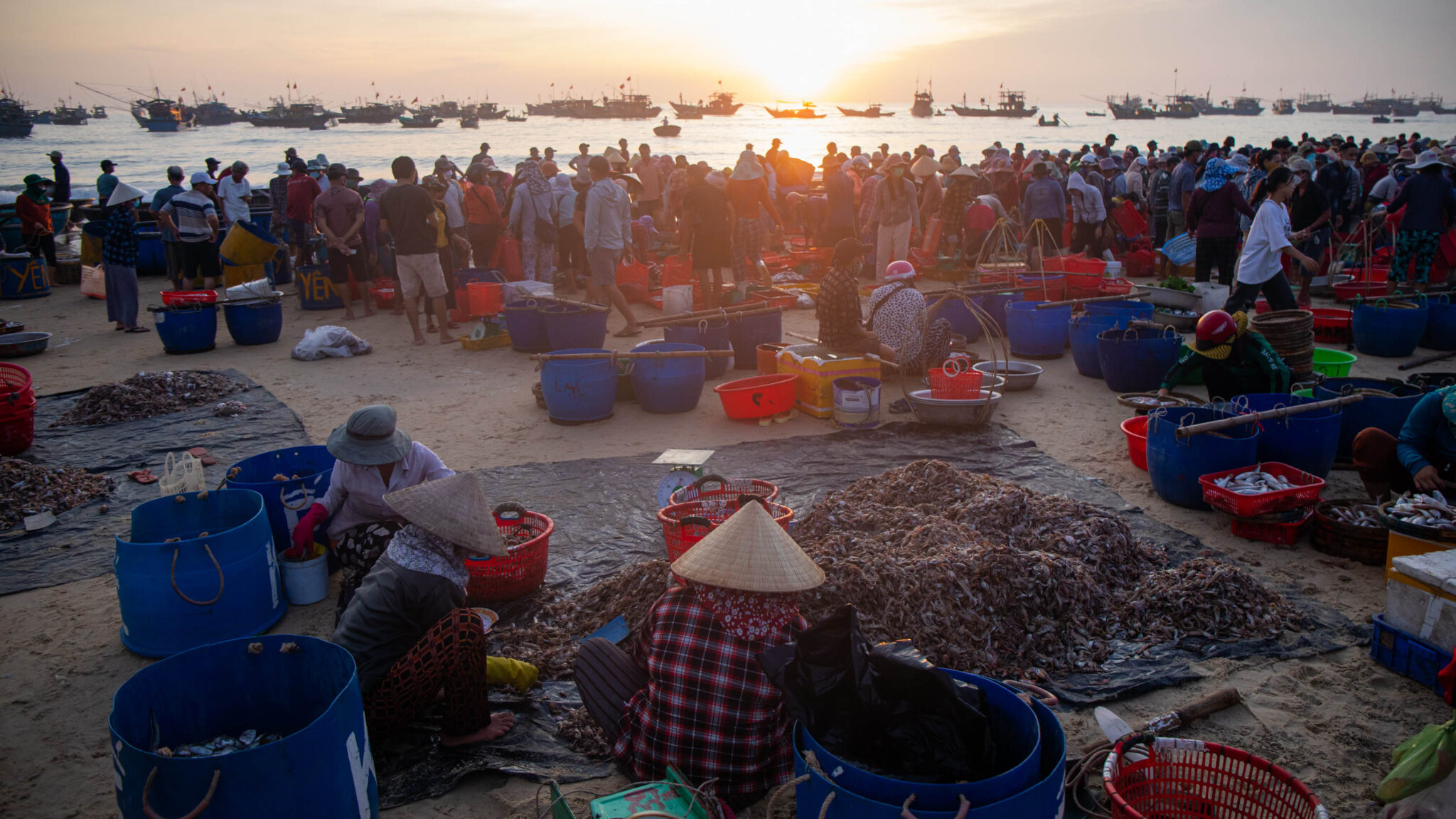 Tam Tien Fish Market – Touch the Rhythm of Coastal Life at Daybreak ...