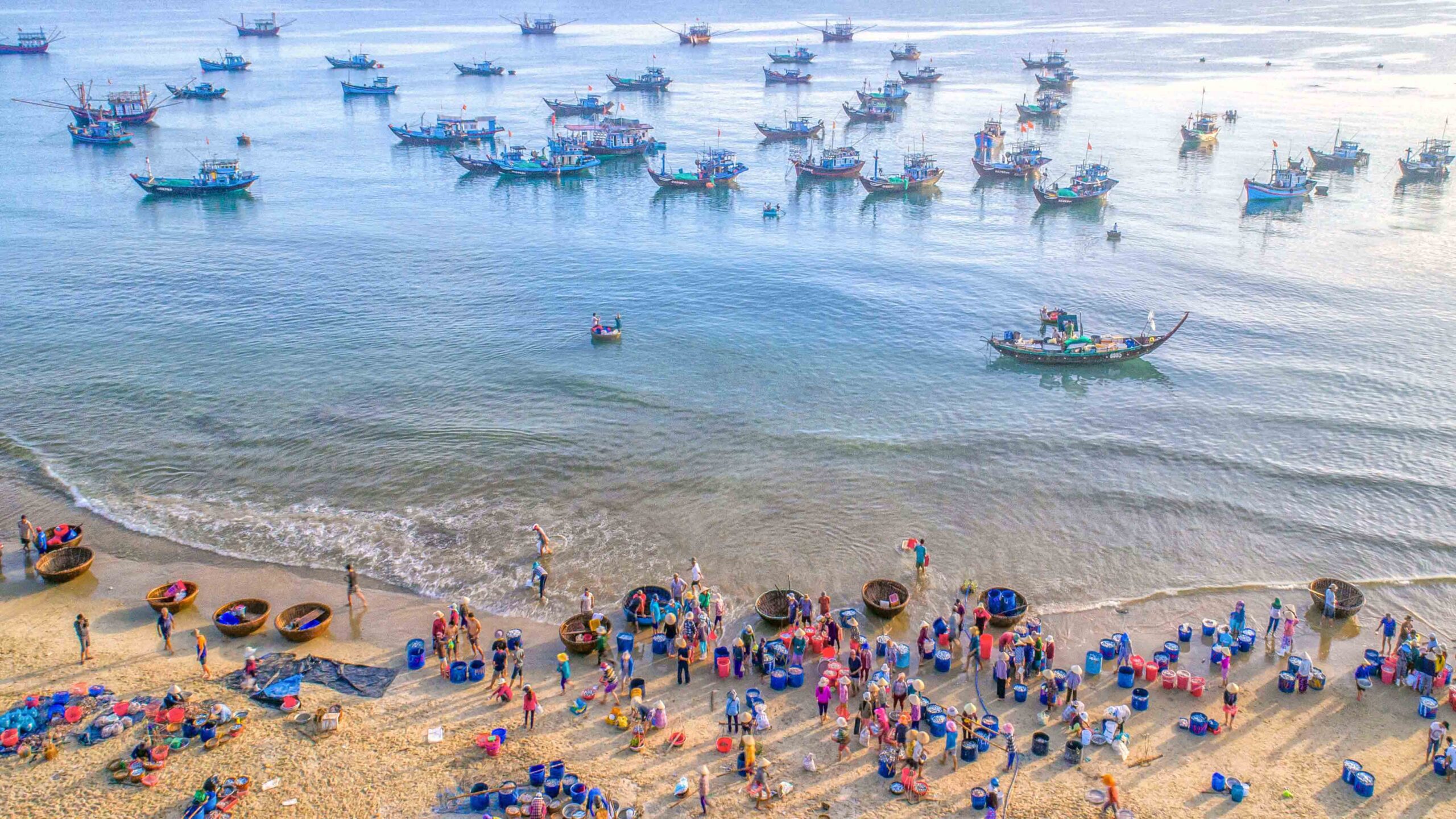 Tam Tien Fish Market – Touch the Rhythm of Coastal Life at Daybreak