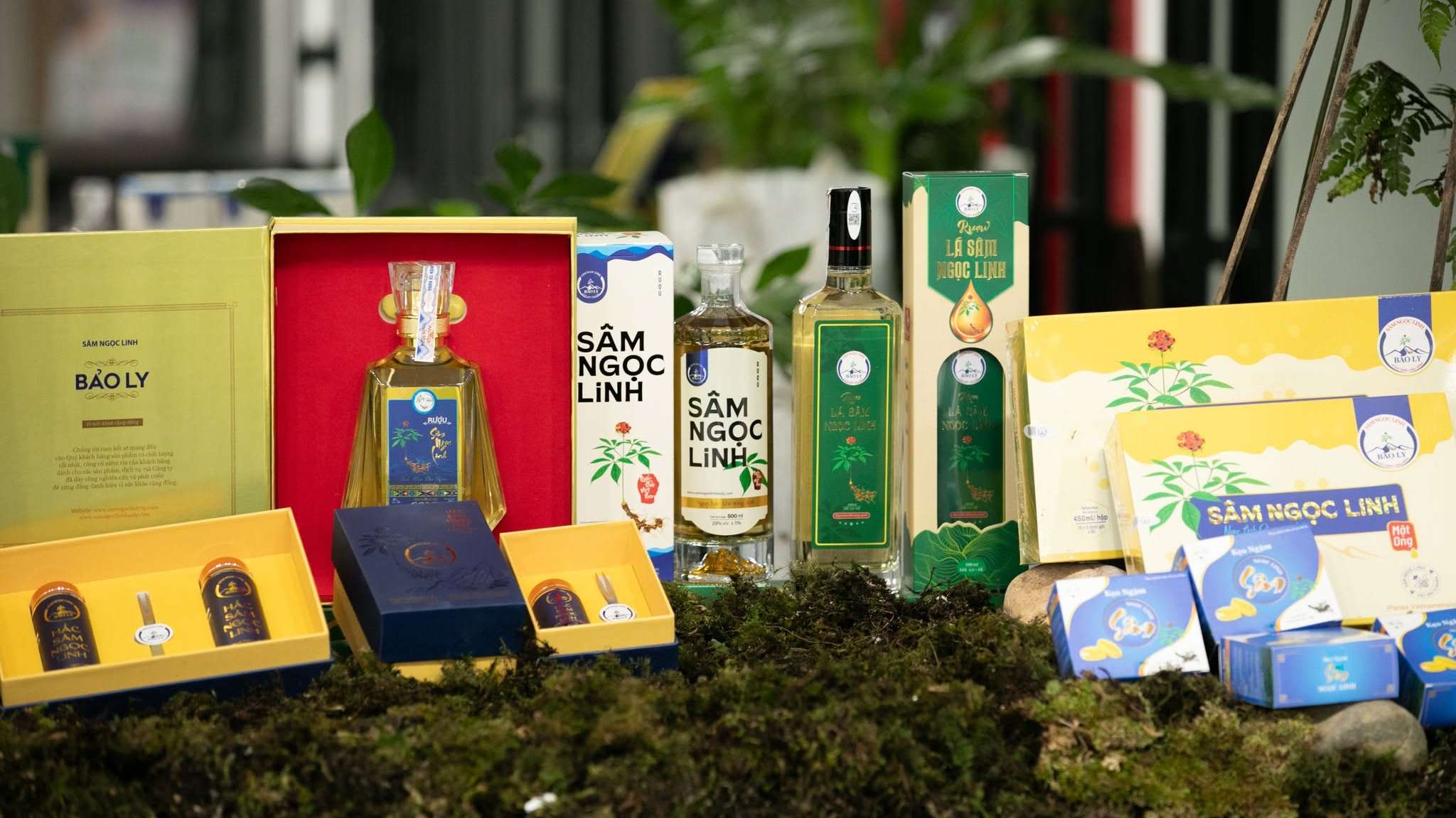 Những sản vật không nên bỏ lỡ tại Lễ hội Sâm Ngọc Linh 2026 và Dược liệu quốc tế Đà Nẵng 2026