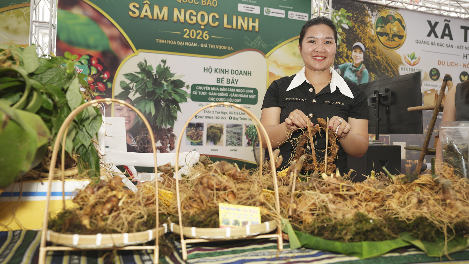 Tối 28 và 29-8 diễn ra Chương trình giới thiệu, quảng bá sản phẩm Sâm Ngọc Linh và dược liệu thành phố Đà Nẵng năm 2026