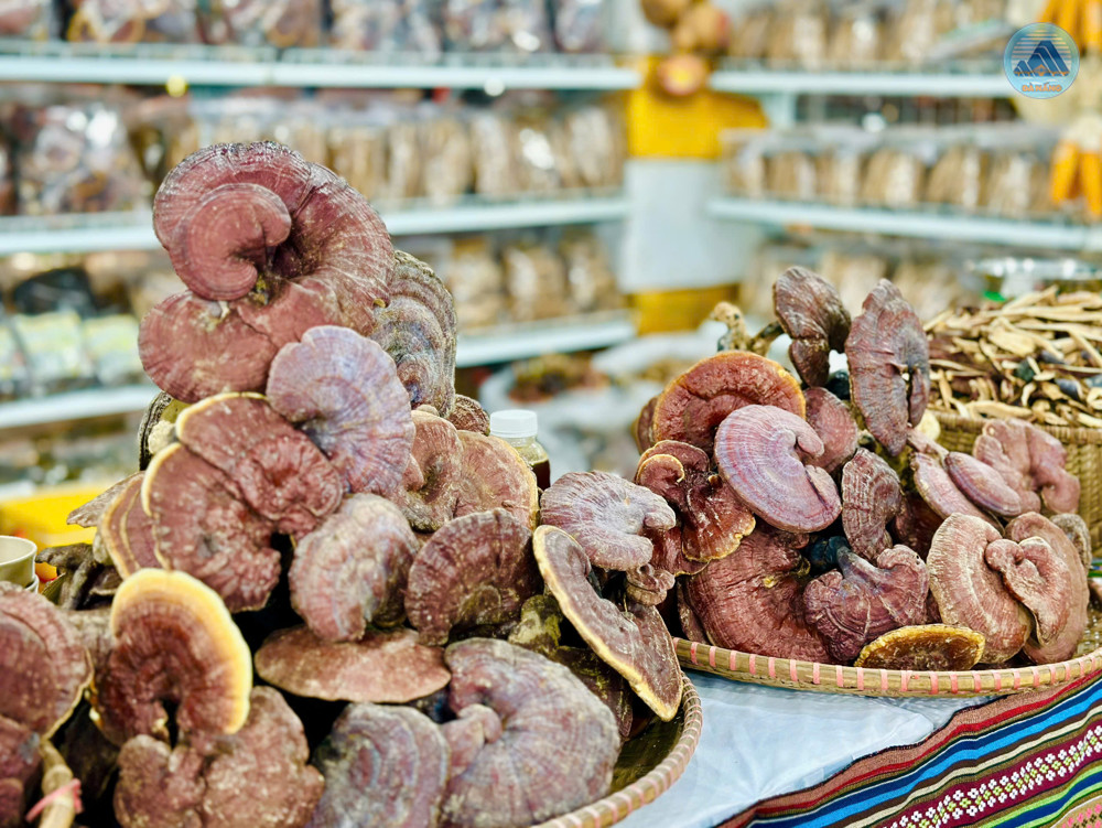 Dược liệu vùng cao có thêm cơ hội kết nối thị trường